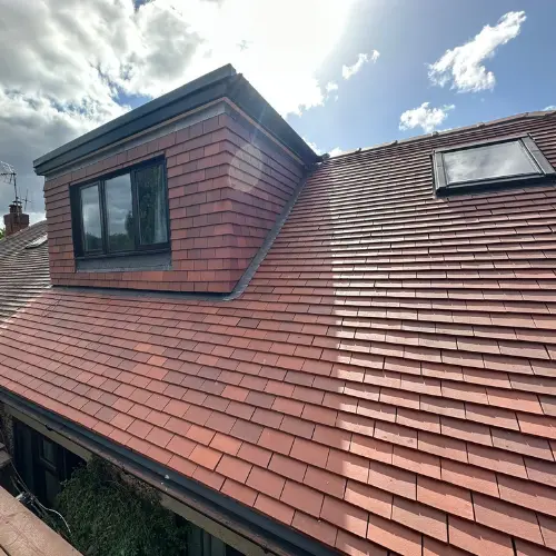 Recent roof project